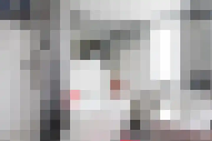 Fossielenerf 524 Heerlen thumbnail 17