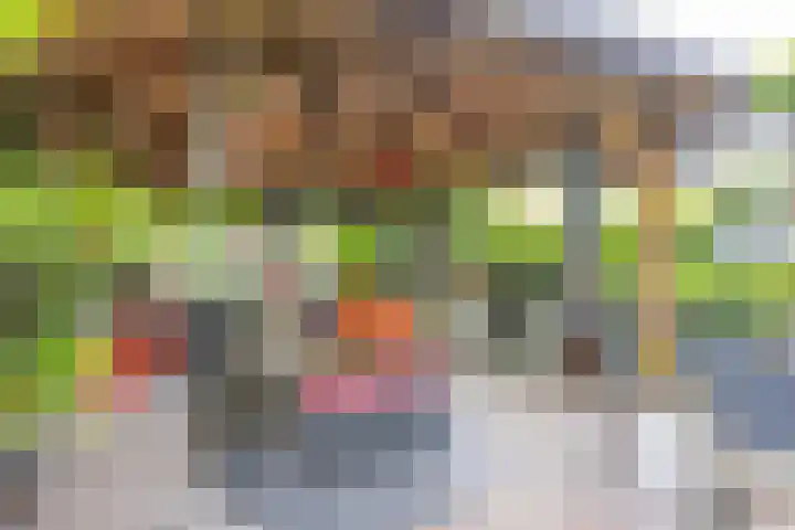 Fossielenerf 524 Heerlen thumbnail 18