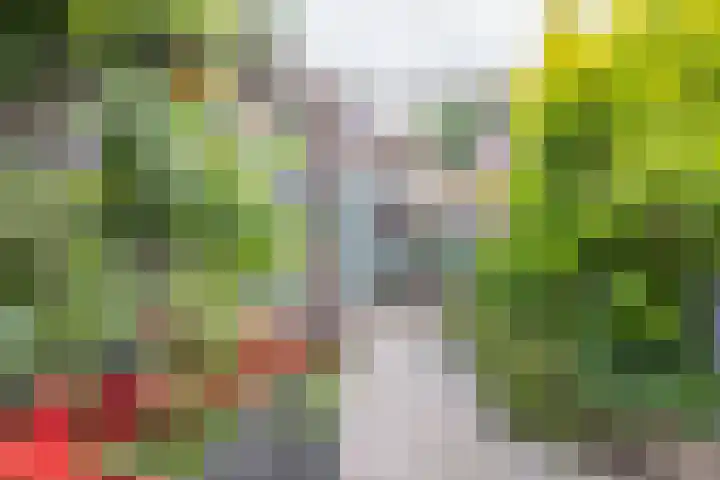 Fossielenerf 524 Heerlen thumbnail 20