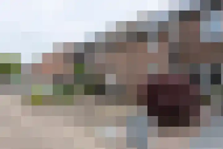 Fossielenerf 524 Heerlen thumbnail 22