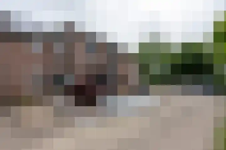 Fossielenerf 524 Heerlen thumbnail 23