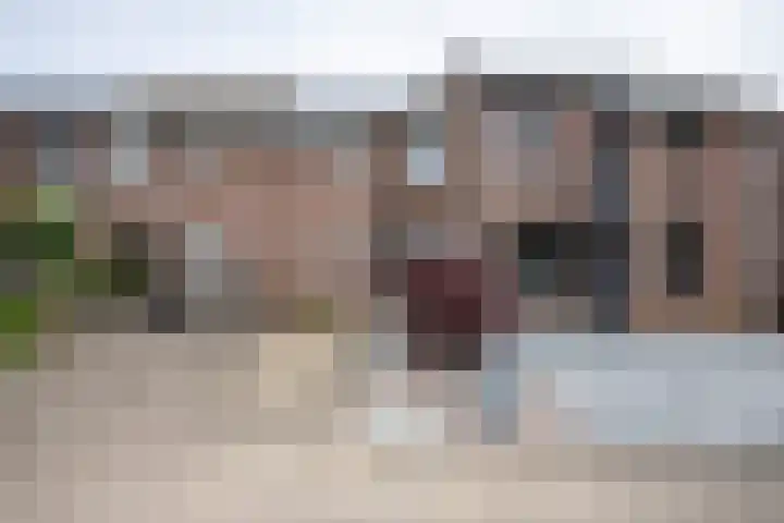 Fossielenerf 524 Heerlen thumbnail 26