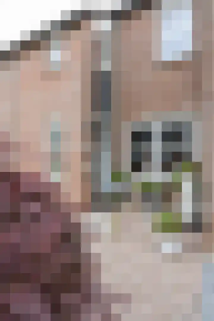 Fossielenerf 524 Heerlen thumbnail 4