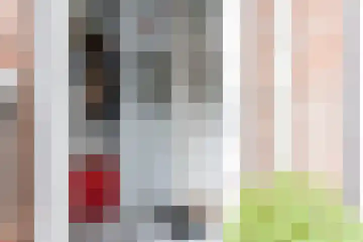 Fossielenerf 524 Heerlen thumbnail 5