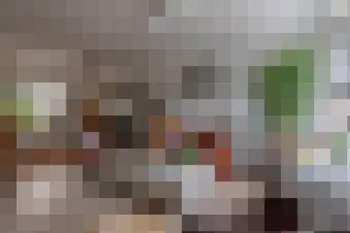 Fossielenerf 524 Heerlen thumbnail 6