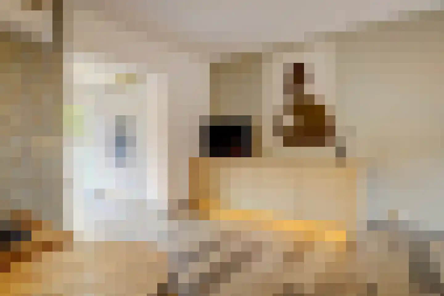 Fossielenerf 578 Heerlen thumbnail 11