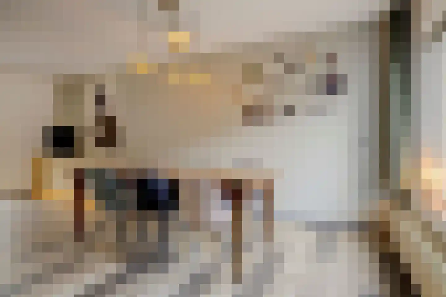 Fossielenerf 578 Heerlen thumbnail 14