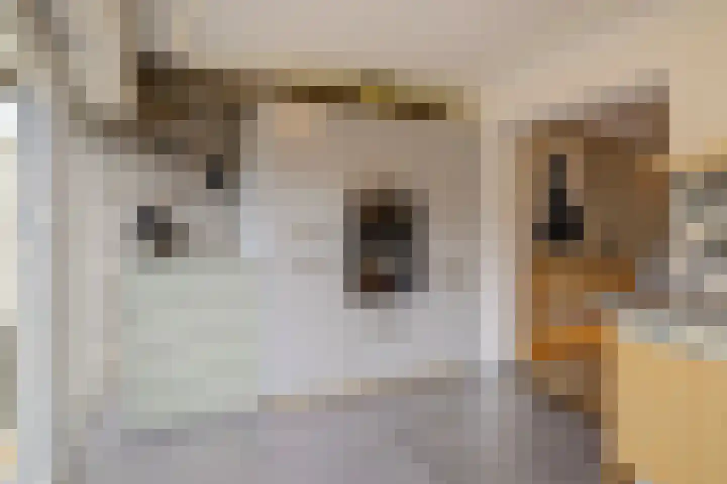 Fossielenerf 578 Heerlen thumbnail 18