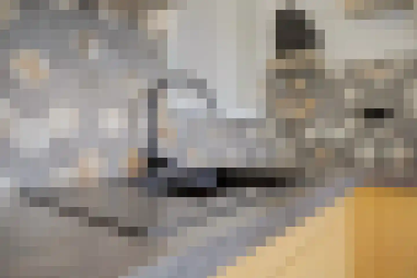 Fossielenerf 578 Heerlen thumbnail 19