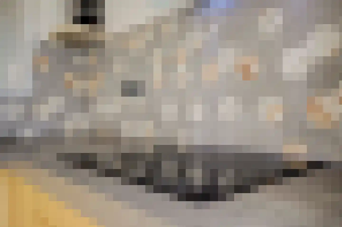 Fossielenerf 578 Heerlen thumbnail 20
