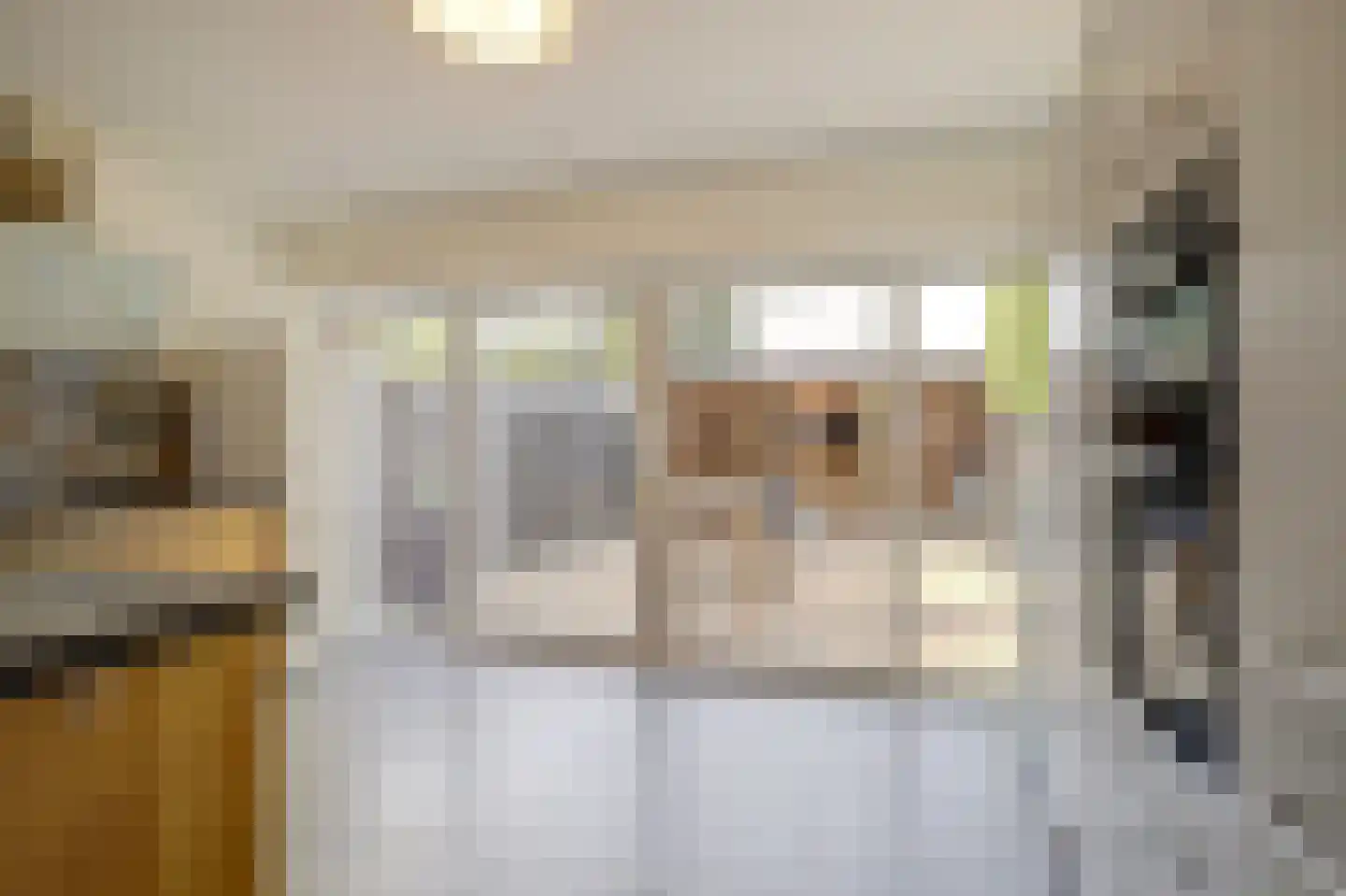 Fossielenerf 578 Heerlen thumbnail 21