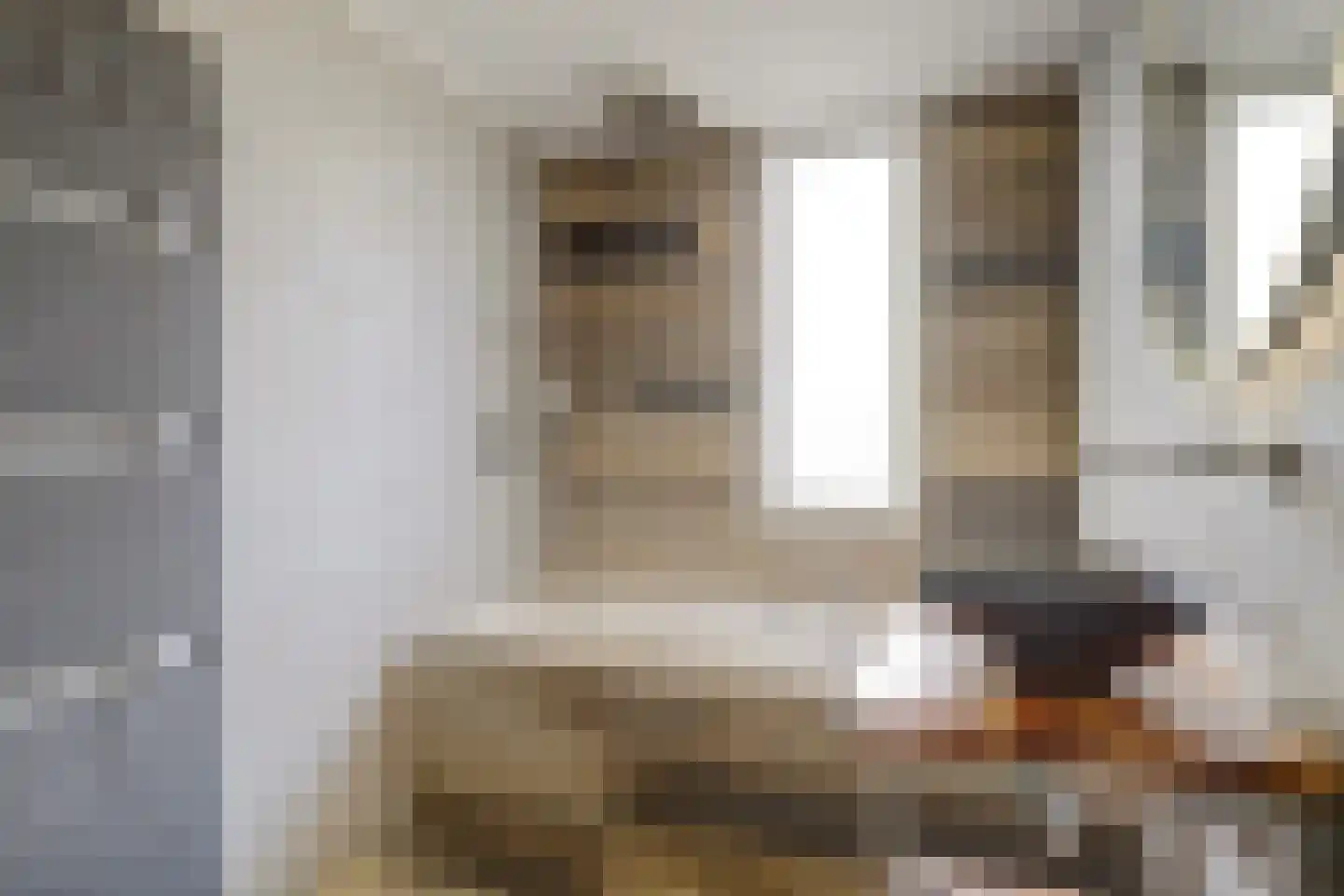 Fossielenerf 578 Heerlen thumbnail 30
