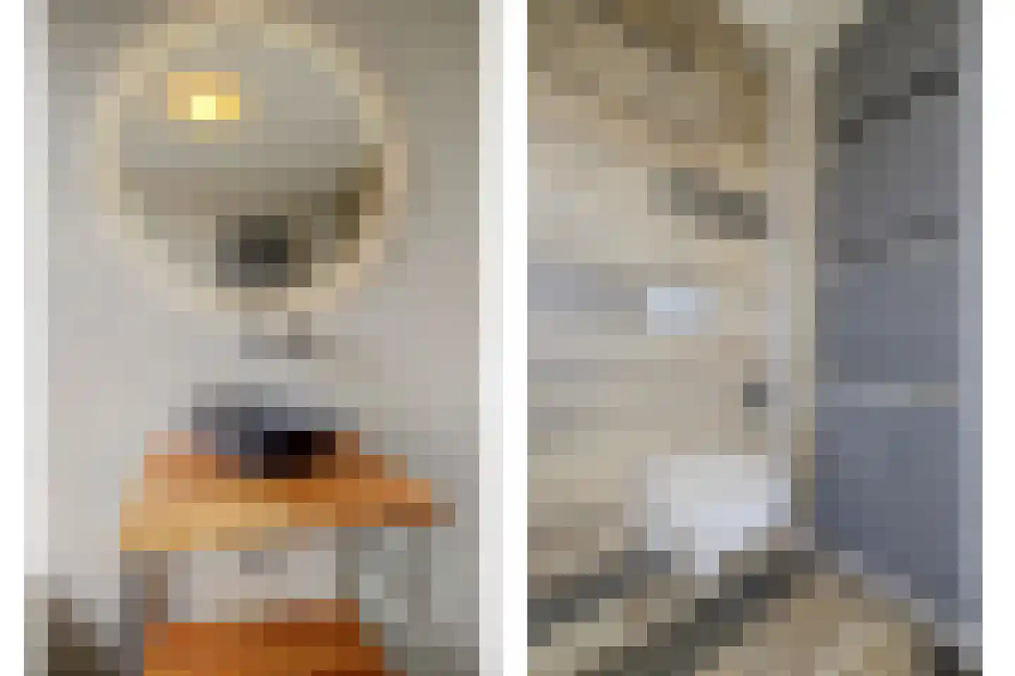 Fossielenerf 578 Heerlen thumbnail 32