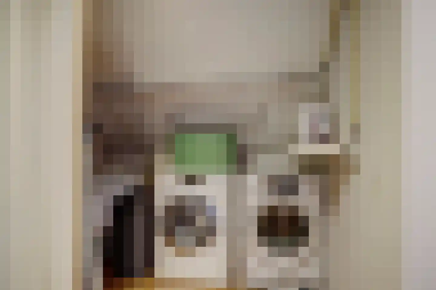Fossielenerf 578 Heerlen thumbnail 36