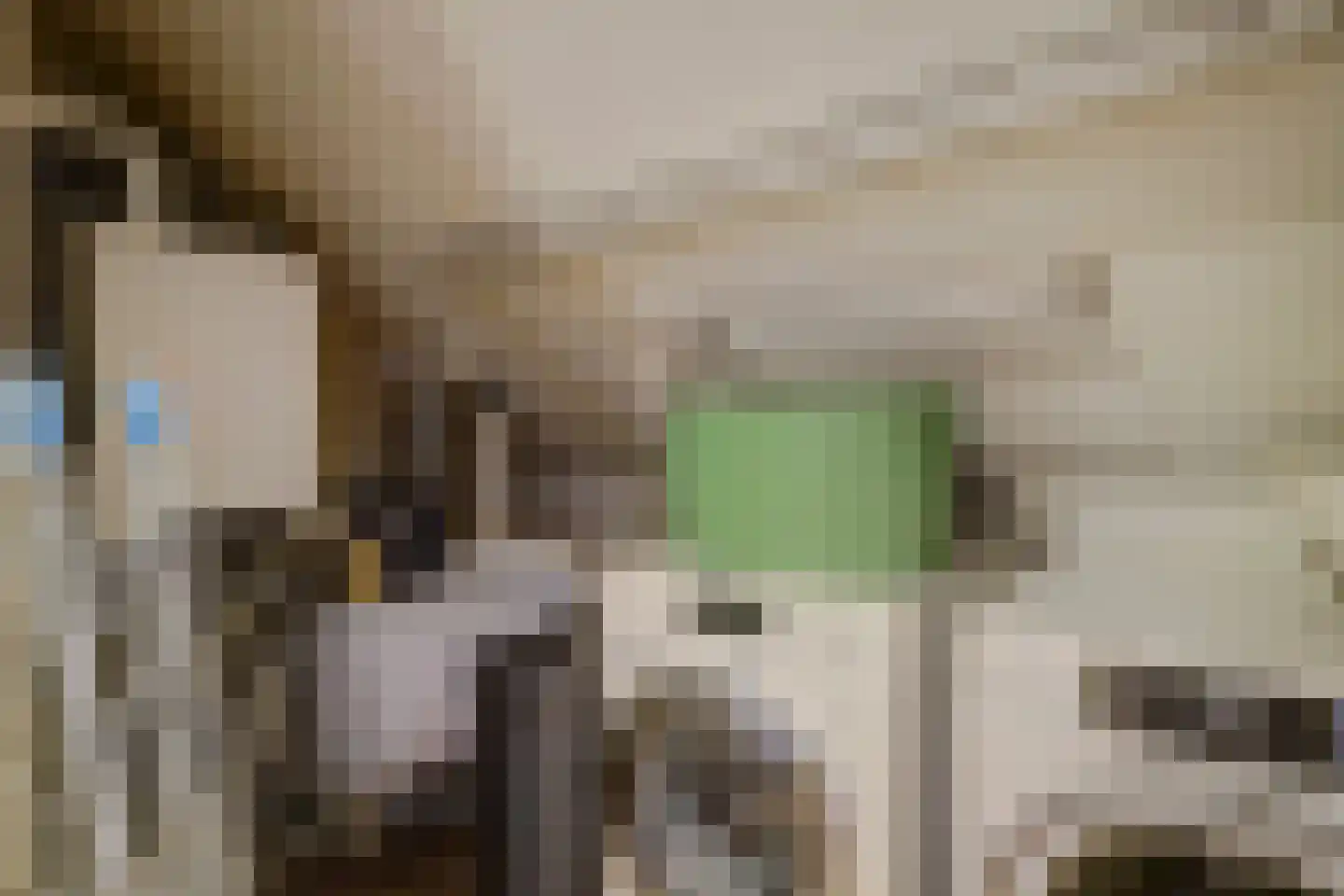 Fossielenerf 578 Heerlen thumbnail 38