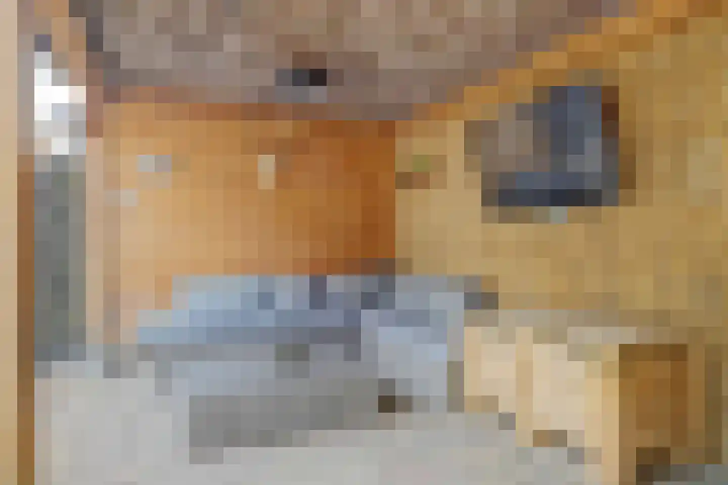 Fossielenerf 578 Heerlen thumbnail 39
