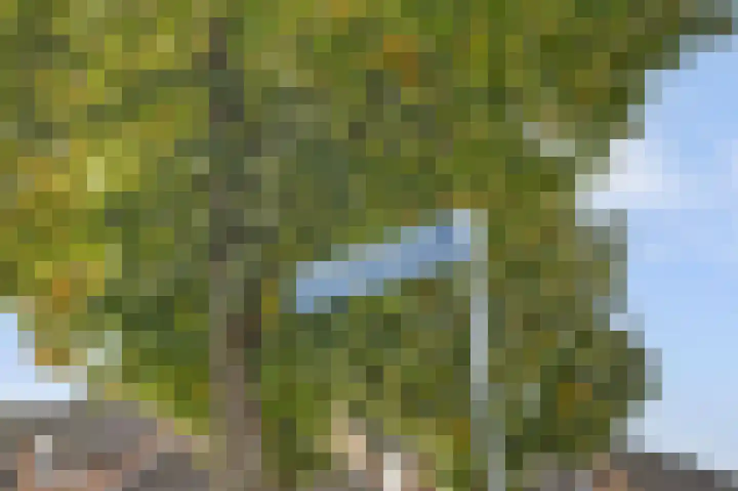 Fossielenerf 578 Heerlen thumbnail 47