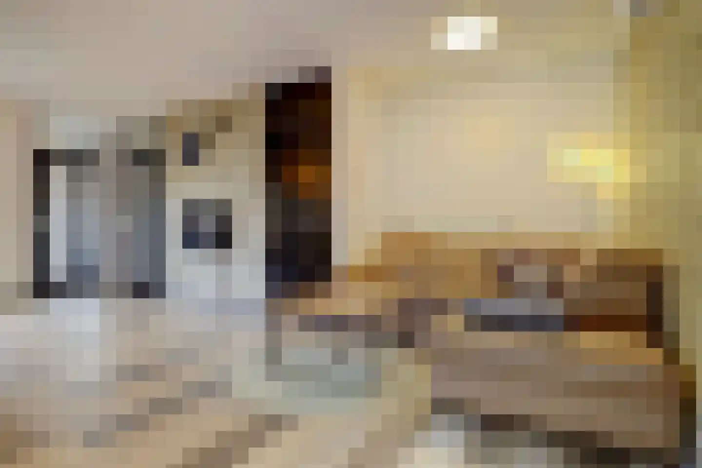 Fossielenerf 578 Heerlen thumbnail 8