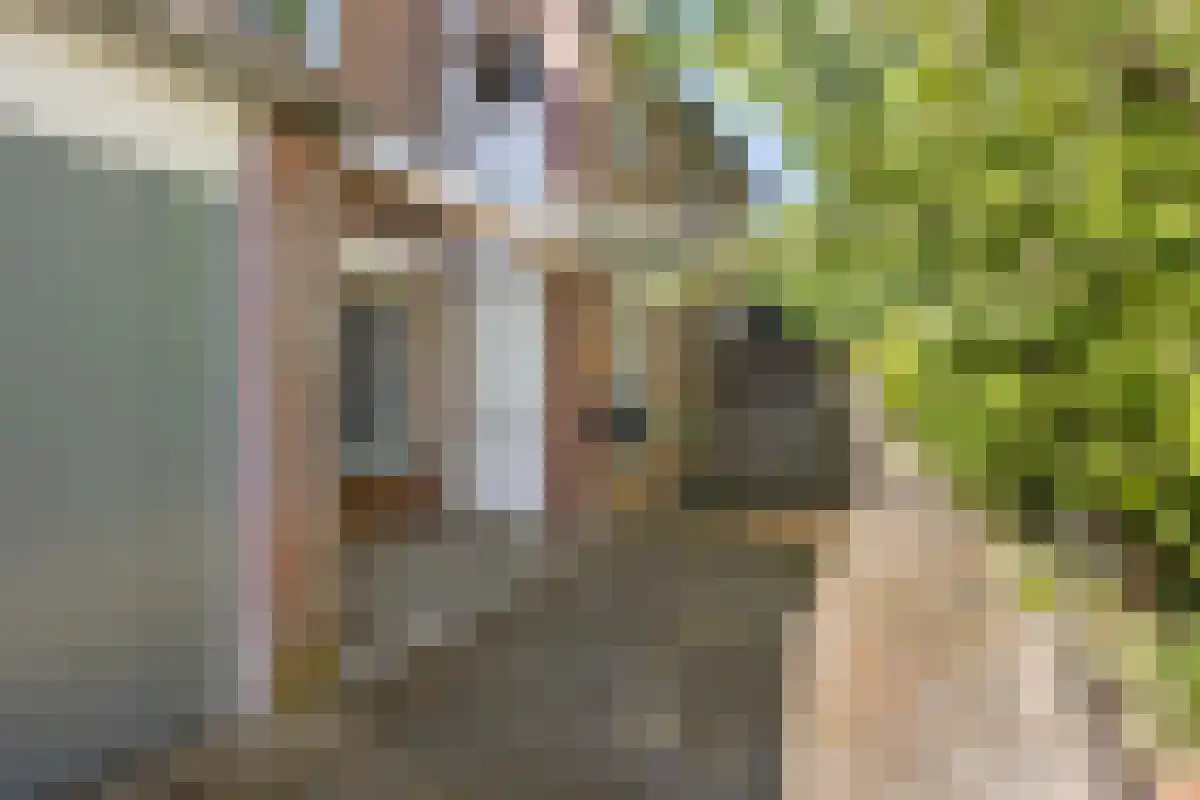 Fossielenerf 632 Heerlen thumbnail 5