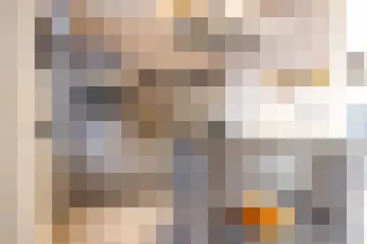 Fossielenerf 654 Heerlen thumbnail 11