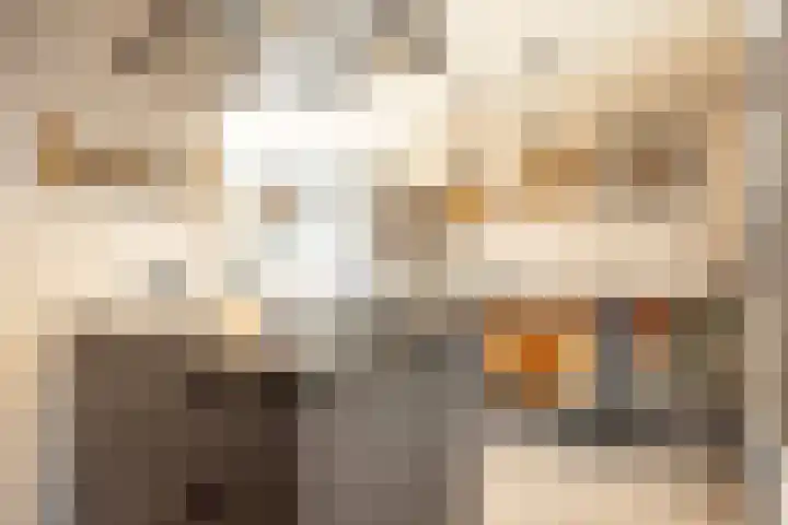 Fossielenerf 654 Heerlen thumbnail 14