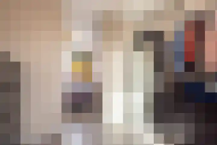 Fossielenerf 654 Heerlen thumbnail 20