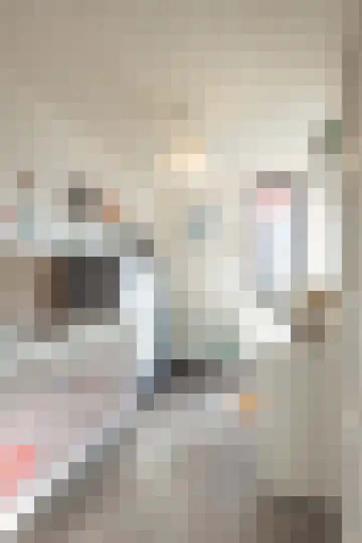 Fossielenerf 654 Heerlen thumbnail 21