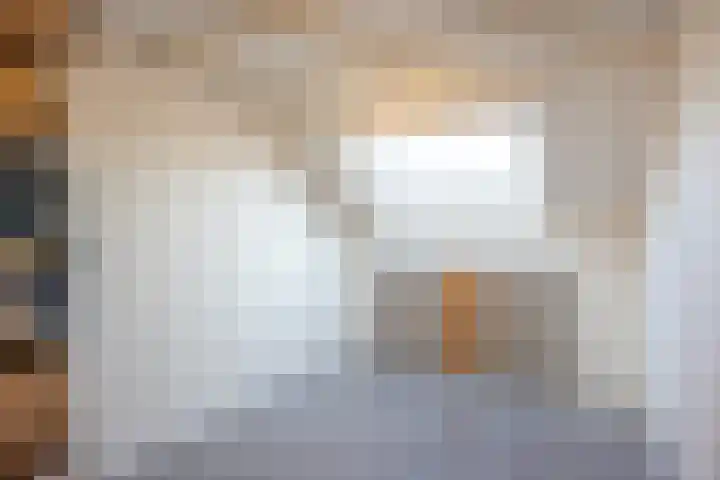 Fossielenerf 654 Heerlen thumbnail 26
