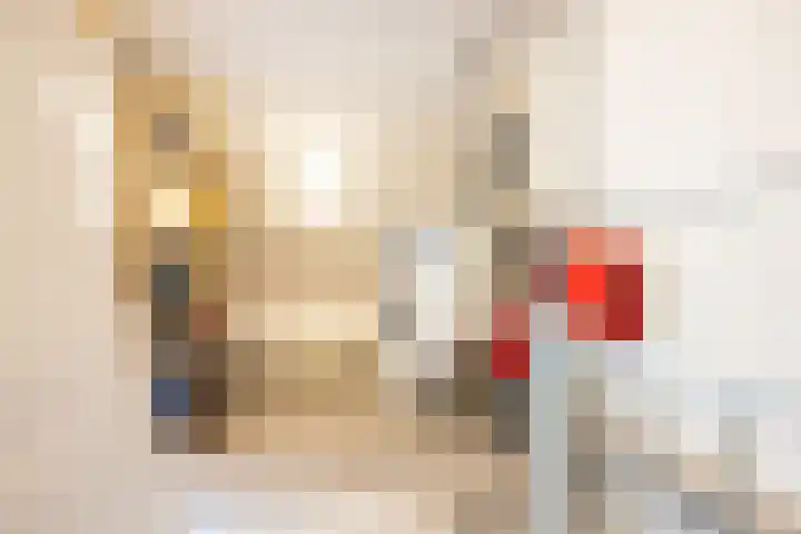 Fossielenerf 654 Heerlen thumbnail 27