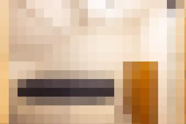 Fossielenerf 654 Heerlen thumbnail 28