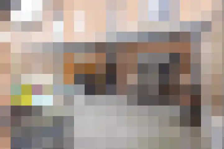 Fossielenerf 654 Heerlen thumbnail 29
