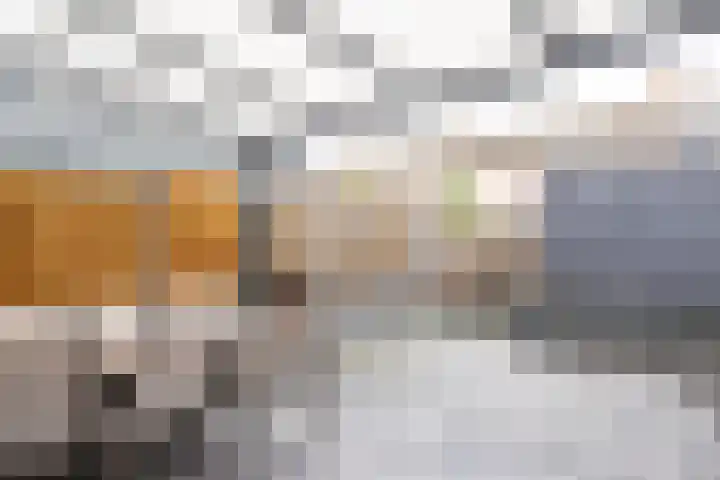 Fossielenerf 654 Heerlen thumbnail 30
