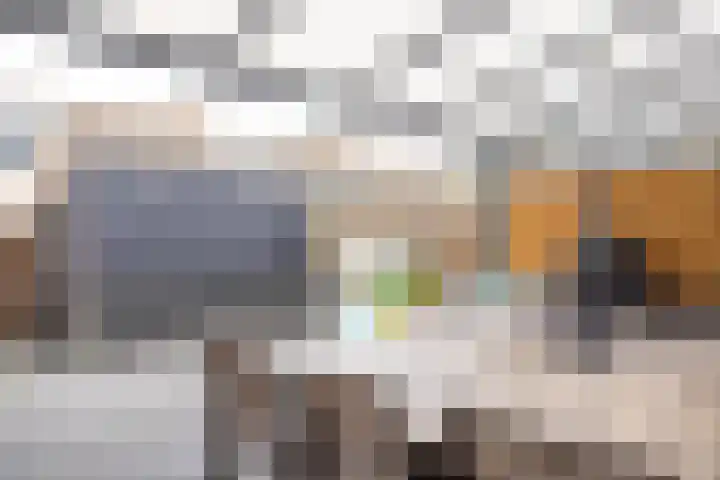 Fossielenerf 654 Heerlen thumbnail 31