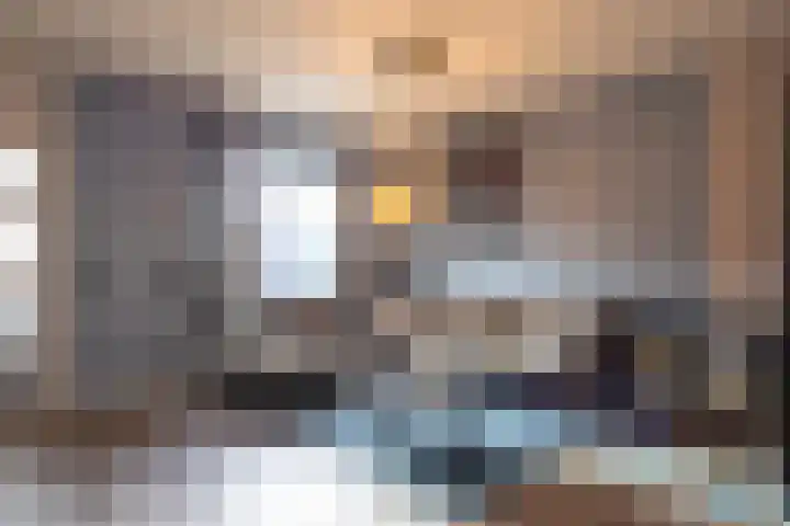 Fossielenerf 654 Heerlen thumbnail 6