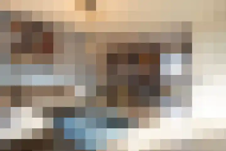 Fossielenerf 654 Heerlen thumbnail 7