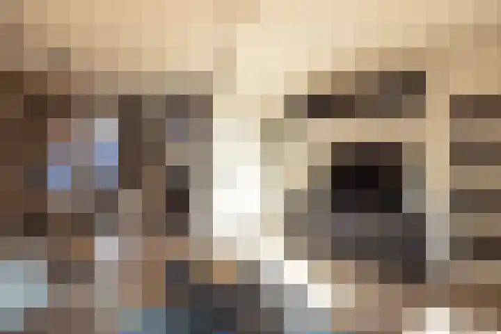 Fossielenerf 654 Heerlen thumbnail 8