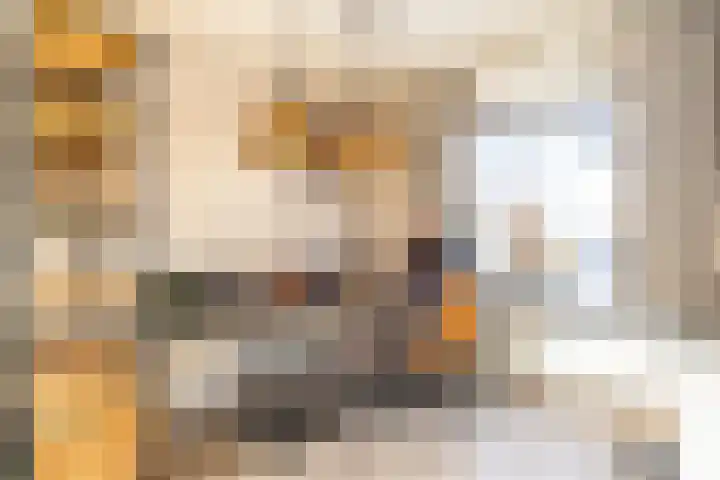 Fossielenerf 654 Heerlen thumbnail 9