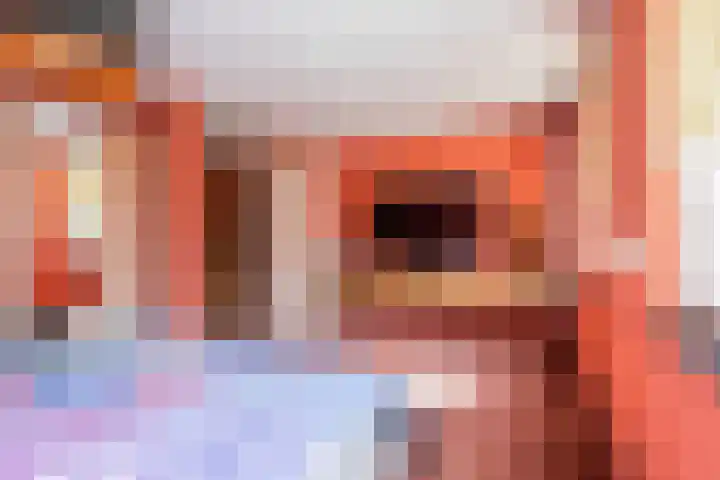 Fossielenerf 692 Heerlen thumbnail 13