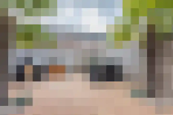 Fossielenerf 692 Heerlen thumbnail 22