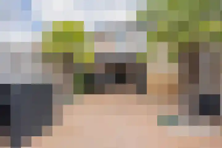 Fossielenerf 692 Heerlen thumbnail 23
