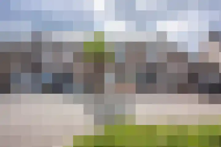 Fossielenerf 692 Heerlen thumbnail 25