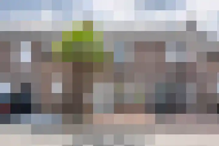 Fossielenerf 692 Heerlen thumbnail 29