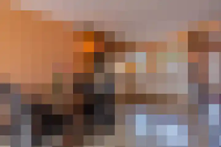 Fossielenerf 692 Heerlen thumbnail 6