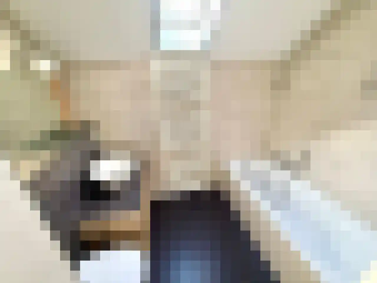 Fossielenerf 90 Heerlen thumbnail 12