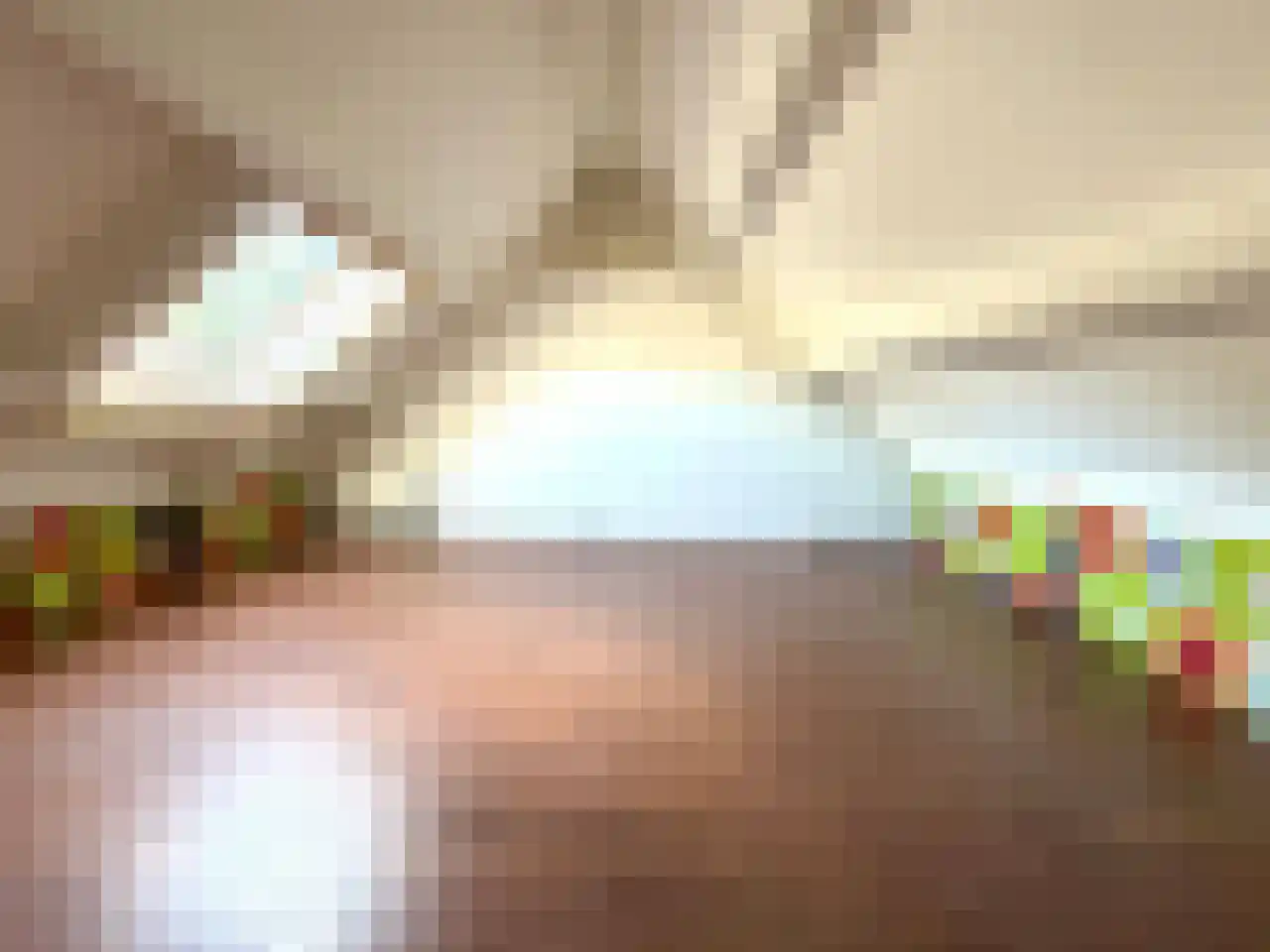 Fossielenerf 90 Heerlen thumbnail 15
