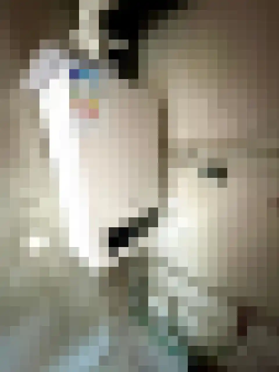 Fossielenerf 90 Heerlen thumbnail 16