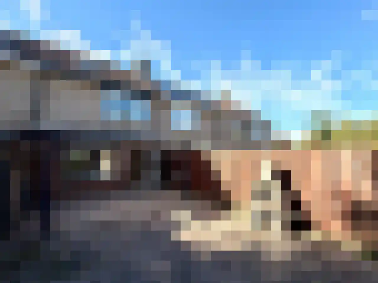 Fossielenerf 90 Heerlen thumbnail 19
