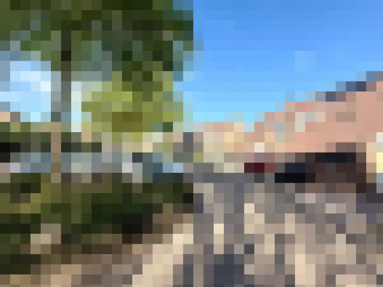Fossielenerf 90 Heerlen thumbnail 20