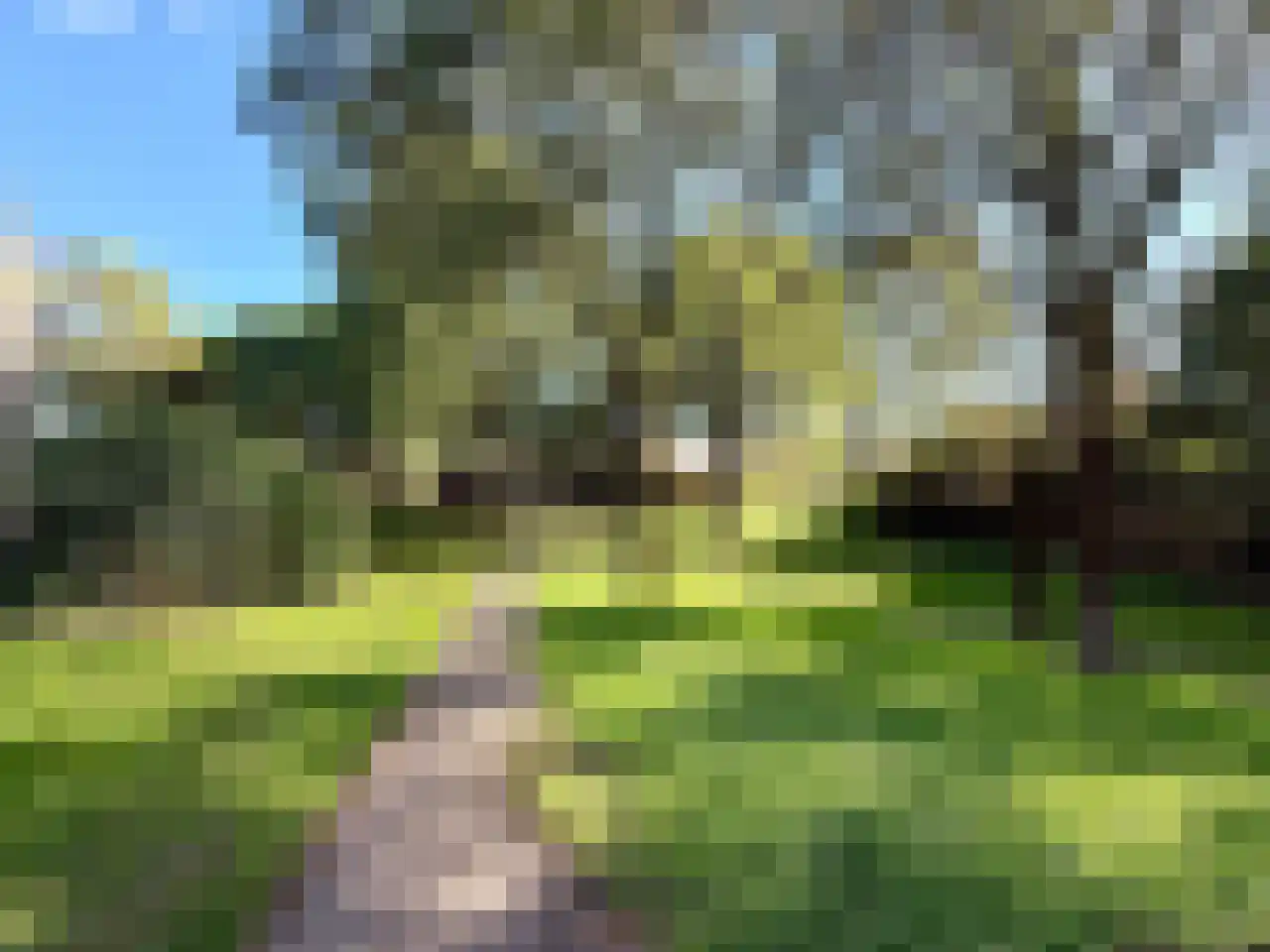 Fossielenerf 90 Heerlen thumbnail 23
