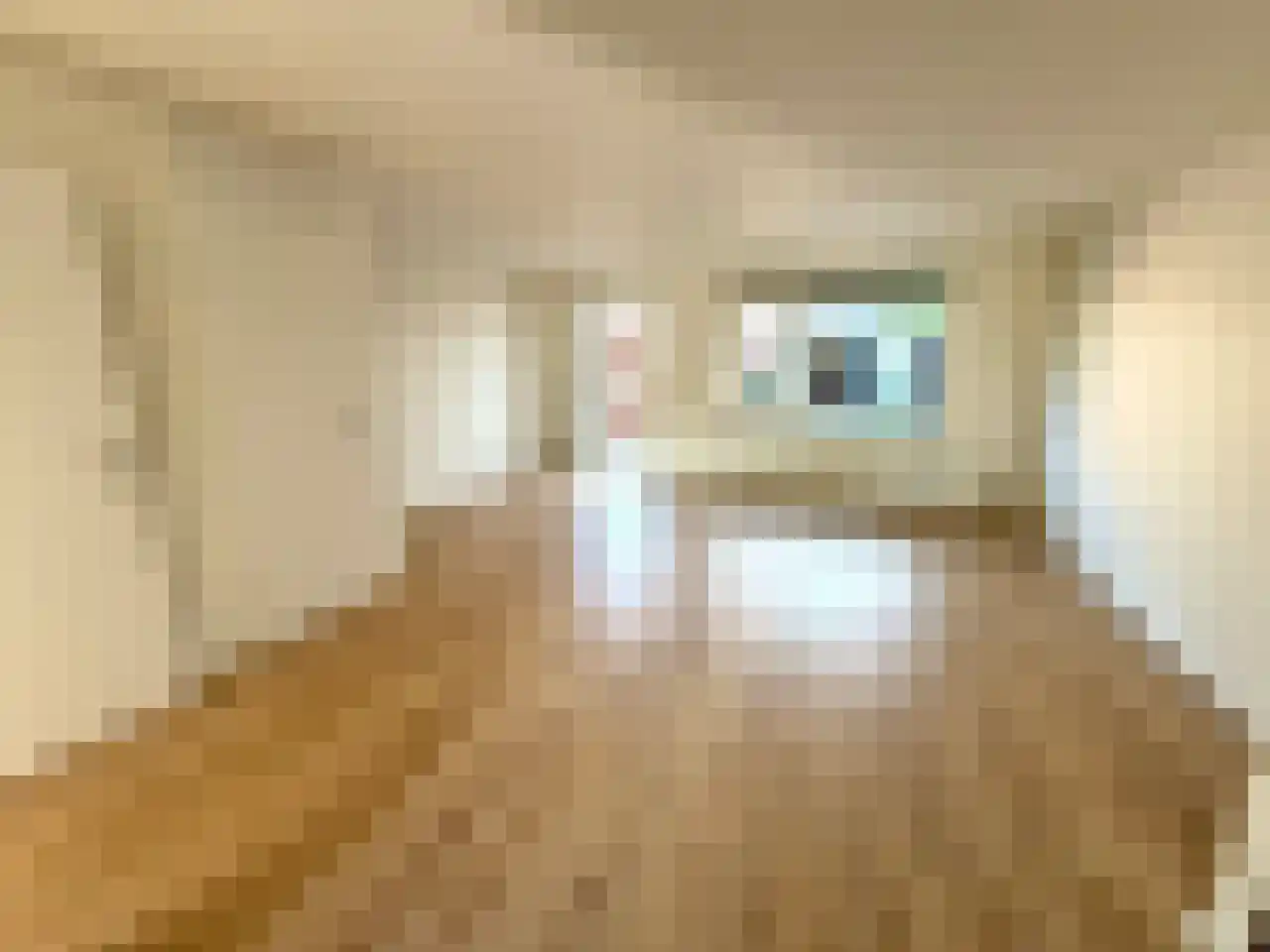 Fossielenerf 90 Heerlen thumbnail 4